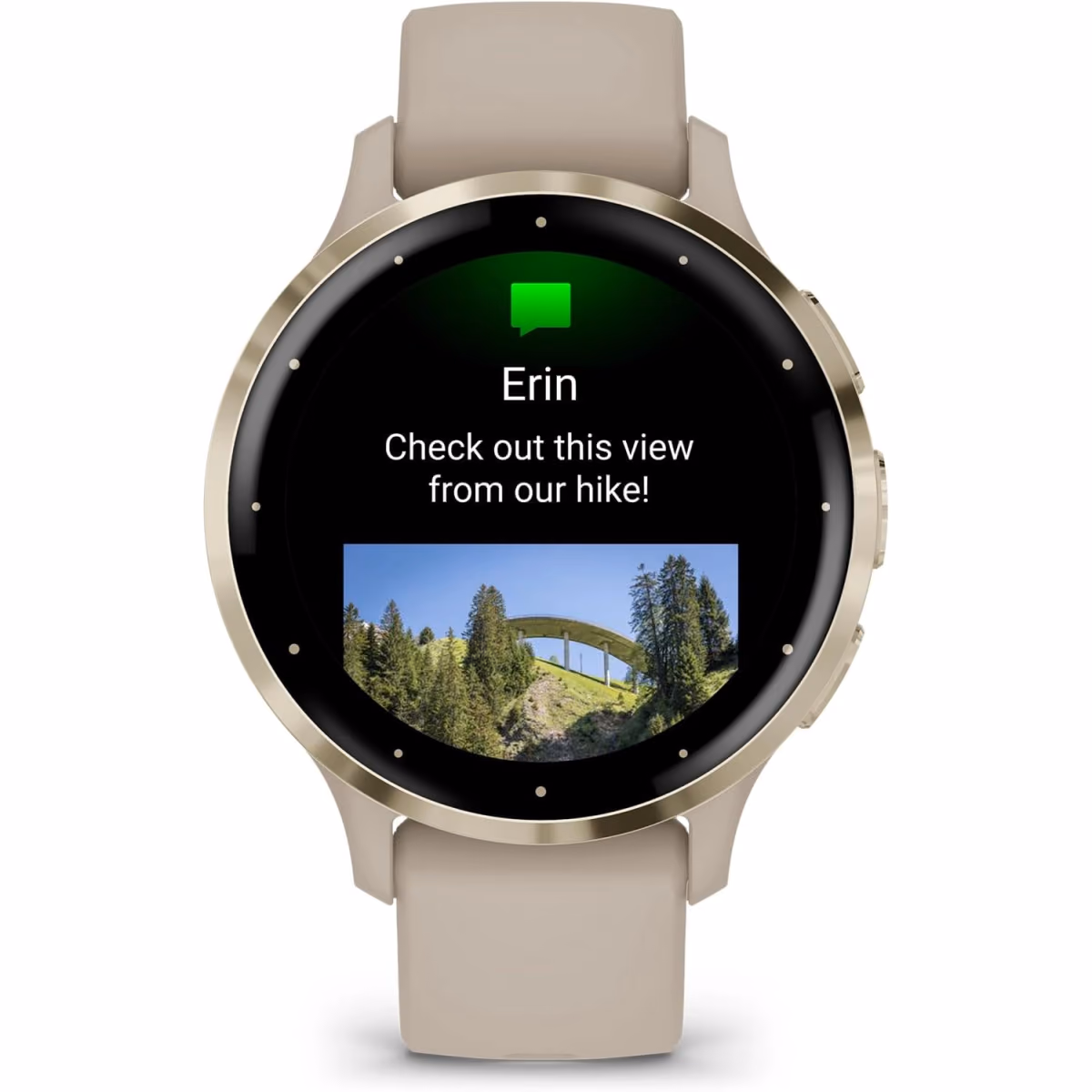 GARMIN VENU 3S SOFT GOLD STAINLESS STEEL BEZEL WITH FRENCH GRAY CASE AND SILICONE BAND - GARMIN VENU 3S SOFT GOLD STAINLESS STEEL BEZEL WITH FRENCH GRAY CASE AND SILICONE BAND